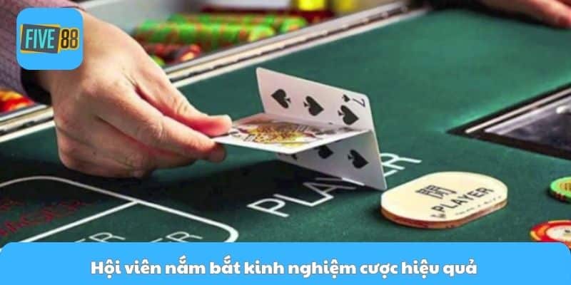 Hội viên nắm bắt kinh nghiệm cược hiệu quả 