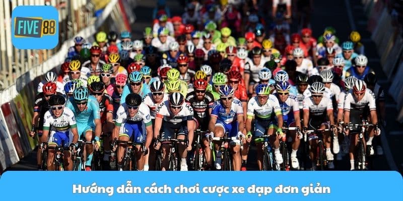 Hướng dẫn cách chơi cược xe đạp đơn giản