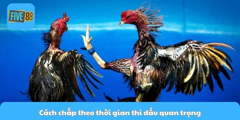 Cách chấp theo thời gian thi đấu quan trọng