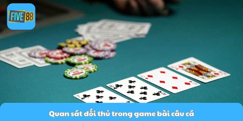 Quan sát đối thủ trong game bài câu cá