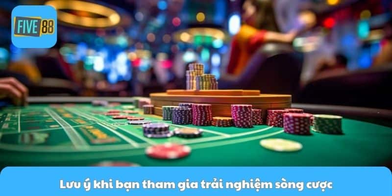 Lưu ý khi bạn tham gia trải nghiệm sòng cược