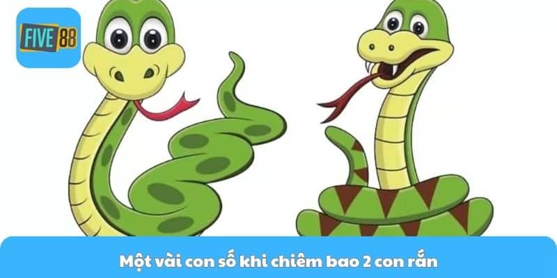 Một vài con số khi chiêm bao 2 con rắn