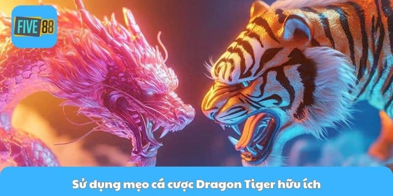 Sử dụng mẹo cá cược Dragon Tiger hữu ích