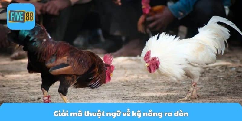 Giải mã thuật ngữ về kỹ năng ra đòn