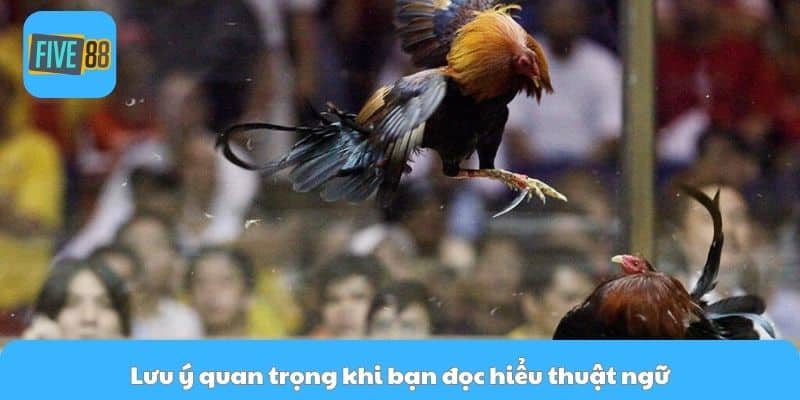 Lưu ý quan trọng khi bạn đọc hiểu thuật ngữ