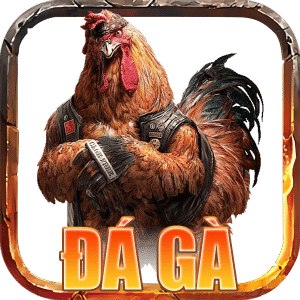 đá gà five88